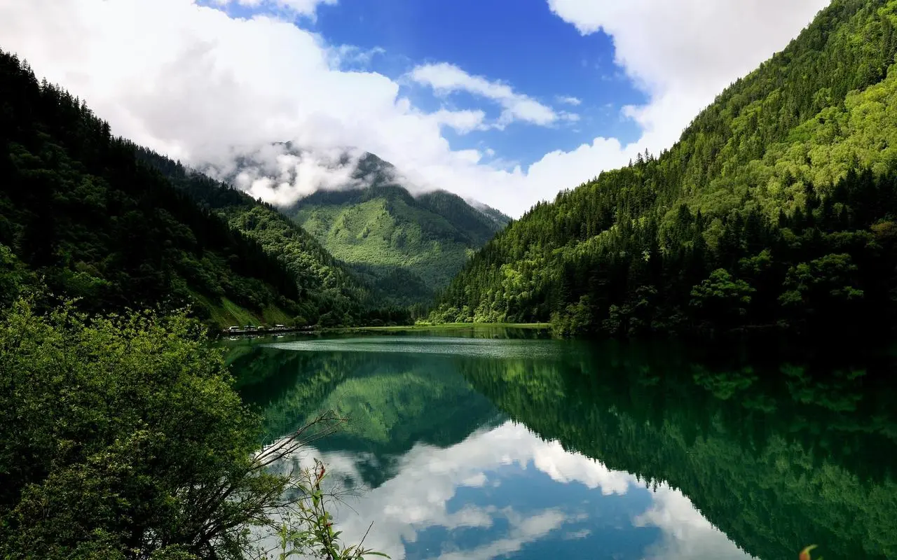 高精度可靠性